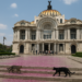 Gabriela Ortiz estrena "Revolución Diamantina" en el Palacio de Bellas Artes