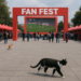 Derrocha Edomex 125 mdp  por Fan Fest