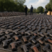 Canjean más de 11,000 armas con Sheinbaum