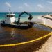 Apuestan a más barcos y barreras para evitar sargazo en QR