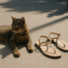 The Barely-There Hiking Sandal Is the Official Shoe of the Summer
