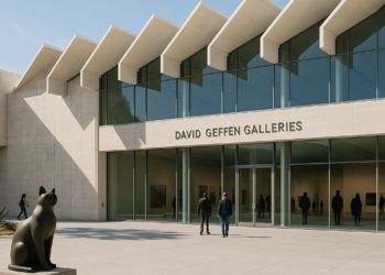The David Geffen Galleries at LACMA - Criticism