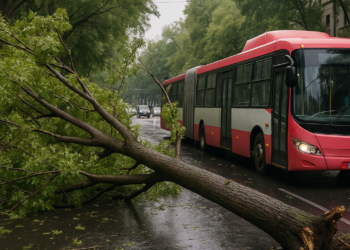 Lluvias tiran 20 árboles y afectan Metro y Metrobús en CDMX