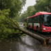 Lluvias tiran 20 árboles y afectan Metro y Metrobús en CDMX
