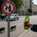 Tras muertes en festejos, piden regular alcohol