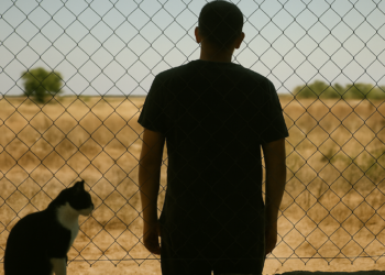 Nuria Ibáñez Castañeda combina realidad y ficción en ‘El guardián’: “Hay una realidad brutal en México, tan estimulante que me fui quedando” | Cine: estrenos y críticas