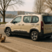 Peugeot Rifter 2027 a prueba: ideal para uso personal o para tu negocio ¿lo vale?