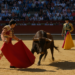 Alejandro Talavante, en una media verónica a uno de sus toros.