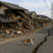 Un nuevo terremoto de magnitud 5,8 vuelve a sacudir el sudoeste de Japón tras el fuerte seísmo que dejó 18 muertos