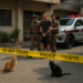 Horror en Tailandia: acusan a un australiano de matar a una adolescente y abandonar su cuerpo en una valija
