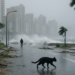 El tifón Bavi comenzó a golpear las islas del sur de Japón y Taiwán mientras China se prepara para el impacto de las tormentas