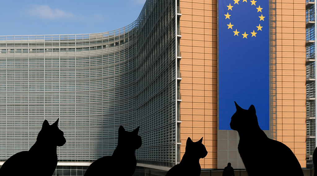 EU debió avisar sobre 'Mayo', no llevárselo, dice CSP