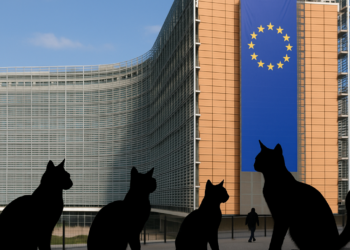 EU debió avisar sobre 'Mayo', no llevárselo, dice CSP