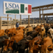 USDA anuncia la reapertura para las importaciones de ganado mexicano en 30 días: GCMA