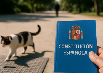 Una gorra para modificar la Constitución