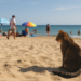 Vacaciones inolvidables sin salir de la ciudad: redescubre el verano desde otra perspectiva