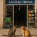 La Gran Carpa