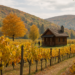 9 Best Places to Travel in Fall, From Upstate Cabins to French Vineyards