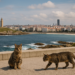A Coruña, entre el cielo y el Madrid