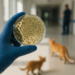 Acinetobacter baumannii, la superbacteria global que infecta y mata a pacientes en hospitales