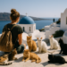Un refugio en Grecia ofrece alojamiento gratuito a cambio de cuidar gatos en una isla paradisíaca