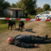 Un hombre de 72 años muere atacado por dos rottweilers en el sur de Italia