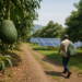 Bedolla y Apeam trazan ruta ambiental, de sanidad y seguridad para el aguacate