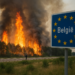 Bélgica combate su mayor incendio forestal mientras las llamas amenazan la frontera con Alemania
