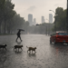 CDMX recibió más de 35 millones de metros cúbicos de lluvia tras precipitaciones del viernes
