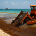 A medida que sargazo se acumula, el Caribe apuesta por embarcaciones, barreras y biocombustibles