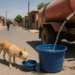 Chihuahua invierte 5 millones de pesos en infraestructura hídrica