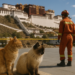 China elevó la cifra de muertos a 16 en Tíbet por la riada mientras los rescatistas buscan salvar vidas a contrarreloj