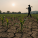 ¿Qué comeremos en el futuro? Cambio climático amenaza la producción de alimentos