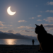 Inicia eclipse en Alaska; se prepara Europa para observarlo