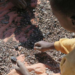 El Congo prohíbe las exportaciones de concentrados de cobre y cobalto