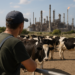 Pasan de la ordeña a tener sus refinerías