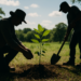 Jornada Nacional de Reforestación, una responsabilidad de todos