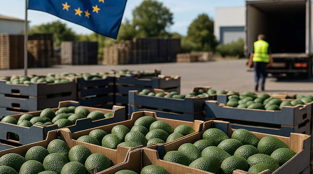 Libera EU 9 mil tons. de aguacate mexicano tras acuerdo