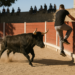 El torneo de los héroes