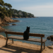 La desolación de la fotografía de Dorothea Lange tiñe de blanco y negro la Costa Brava