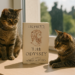 Emily Wilson is retranslating 'The Odyssey' — all over again