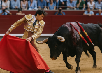 Roca Rey entra a matar sin muleta al sexto toro de la tarde.