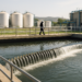 Indaga FDA en Guanajuato agua usada para lechugas