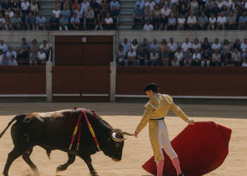 Feria de San Sebastián: Triunfo menor de Daniel Luque con descastados ‘zalduendos’ en la ‘sauna’ de Illumbe | Cultura