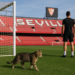 Fran González, a un paso del Sevilla