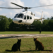 Paga 3.5 veces más por helicóptero Gobierno de QR