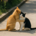 Instrucciones para dar un abrazo | Cultura