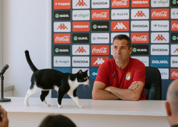 La surrealista rueda de prensa del Ceuta: 1 minuto y 16 segundos y así reaccionó José Juan Romero