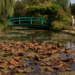 Monet's gardens in Giverny suffer damage from record heatwaves
