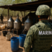 Inhabilita Marina tres narcolaboratorios en Sinaloa